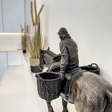 아파트 'de Zandloper' Te - Bad *